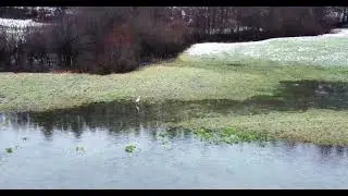 Planinsko polje - Slovenia - winter and nature