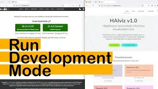Running HAIviz in The Development Mode