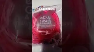 EDIBLE EASTER GRASS #shorts #easter easter