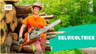 Come si diventa selvicoltrice? | Apprendisti | RSI EDU