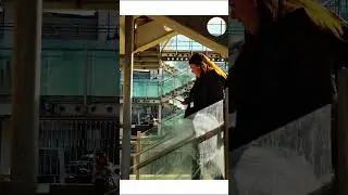 Ricoh GR3x POV Street Photography #shorts