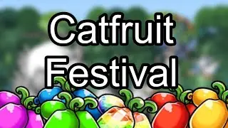 Catfruit Festival is On!