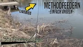 METHODFEEDERN - Einfach ANGELN/ Mit dem METHOD FEEDER auf FRIEDFISCH