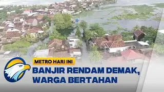 Banjir di Demak Rendam 4 Kecamatan - [Metro Hari Ini]