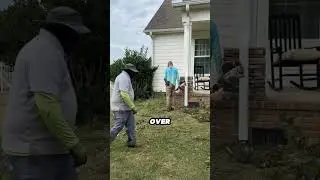 Pressure Washing & Cleaning Transformation Done Right #shorts #satisfying #gardening