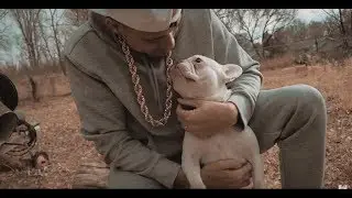 Black Pegasus - Can't Stay Around - Ft Base Jase - Official Music Video - Tbt series