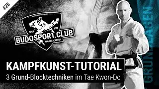 3 wichtige Grund-Blocktechniken für Kampfkünstler No.1