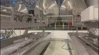 Cheese Production Plant with OST Cheese Vats Blockformers and Curd Draining Tables
