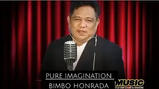 PURE IMAGINATION - JOSH GROBAN ( COVER ) BIMUSIC 