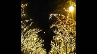Luminez-vous la Vie