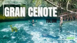 📍GRAN CENOTE, TULUM  🐢☀️| MY FAVORITE CENOTE 😍