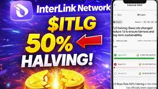 InterLink Network New Update 🚨 ITLG Token Halving &ndash; Good or Bad for Miners?