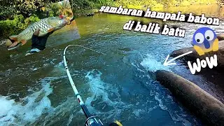TERNYATA HAMPALA BABONNYA SEMBUNYI DI BALIK BEBATUAN ARUS DERAS || CASTING HAMPALA
