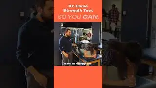 Plank Test
