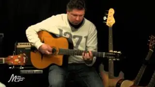 Pro Music Store - Gitane DG255 en Ibanez AEGB20E-VV