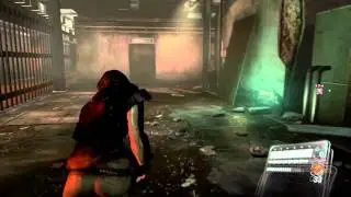 Resident Evil 6: AFK Cat