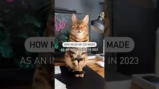 2024 predictions!? 🤓 #petinfluencer #influencer #catlover #bengal #creator
