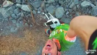 Full Natty Brah Ants The Morning After