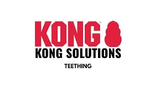 Effective Way to Soothe Teething Pain for Puppies | KONG Solutions