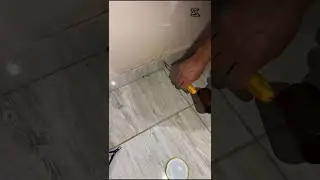 Unbelievable Scorpion Found Under Floor Tiles 😯