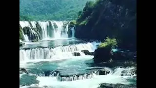 Wild UNA national park