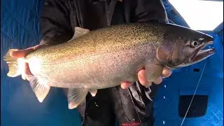 Ice Fishing Trout in Southern Wisconsin 2026 