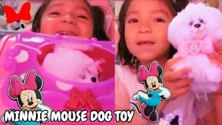 MINNIE MOUSE DOG TOY AND CARRIER