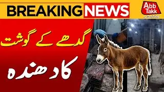 Donkey Meat Business Exposed | Breaking News | Abbtakk News