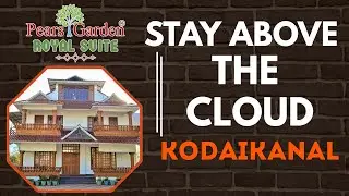 STAY ABOVE THE CLOUD BEST VIEW ROOMS @ KODAIKANAL #cottage #kodaikanal #BESTVIEWKODAIKANAL #SUITE