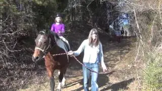 Christmas Horse Camp HD