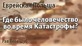 Где было человечество во время Катастрофы. Еврейская Польша 1. Рав Яков Шуб