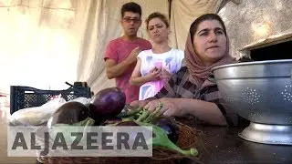 Сирийский эмигрант в Греции строит ферму для беженцев