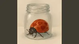 Love Bug