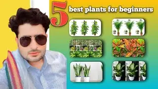 5 best ornamental plants for beginners,,🥰🥰 #nature #trending #viral #viralvideo #defen #gardening 
