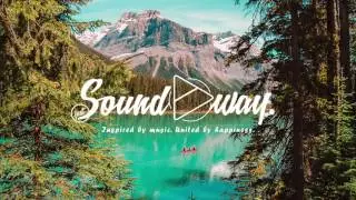 Sterk&oslash;l & Vinil - Take Me Back (ft. Guitk)