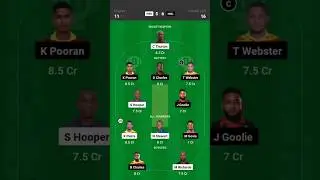 PBR vs NML Dream11 Prediction Today Match, NML vs PBR Fantasy Dream Team Today Match Dream11 Team