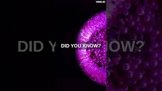 FREAKY WEATHER FACTS...