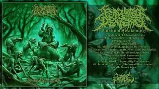 Perverted Dexterity - Spiritual Awakening [Full-Length] (Brutal Death Metal - 2017)