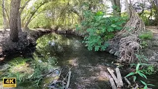 4K Relaxing ASMR Nature Walk Soothing Sounds To  Fall Asleep S1E1