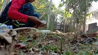 Membuat mercon pendem