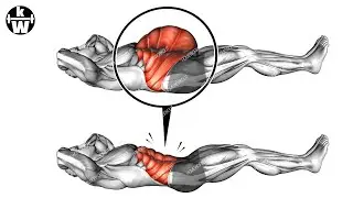 To Build Abs, First Remove Excess Belly Fat.