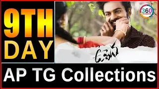 Uppena 9th Day AP TG Collections || 360 Tollywood ||