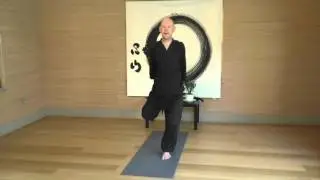 Zen Yoga moves for the late summer season (spleen and stomach meridians) - with Daizan Roshi
