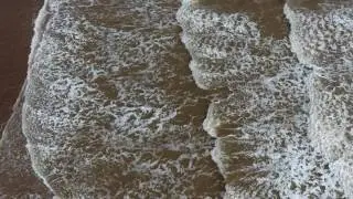Dawlish / South Devon