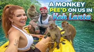 KAYAKING WITH WILD MONKEYS IN THAILAND!! 🇹🇭🐵 AND A COOL UV PAINT BAR ON THE BEACH 🏖️🍺
