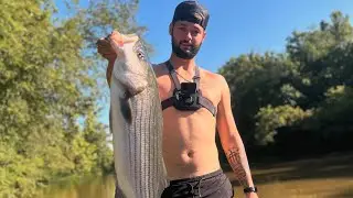 CATCHING HUGE STRIPER IN A SMALL ALABAMA CREEK! 😳