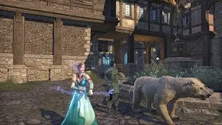 【ESO】#602 エルダー・スクロールズ・オンライン～QuakeCon 2025 チャリティ配信①【Twitch配信アーカイブ】