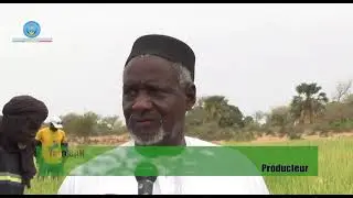 Magazine sur la culture contre saison de l'Office Riz Segou - version Bambara