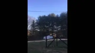 Bird caught on fishing line