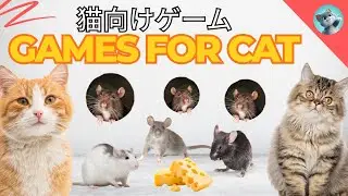 猫向け3Dゲーム 🎮 Cat TV 🐱 [Fast Mouse Running &ndash; Interactive Cat Video]  3D HD フルエンターテインメント